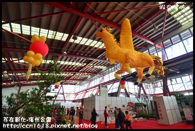 花在彰化-溪州公園DSC_3181 花在彰化-溪州公園DSC_3181