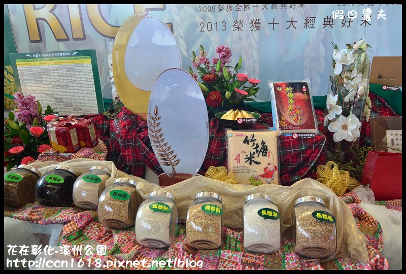 花在彰化-溪州公園DSC_3187 花在彰化-溪州公園DSC_3187