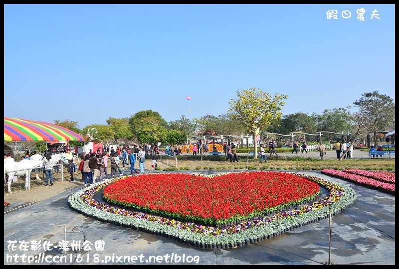 花在彰化-溪州公園DSC_3198 花在彰化-溪州公園DSC_3198