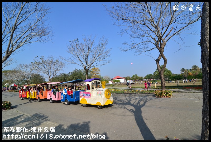 花在彰化-溪州公園DSC_3199 花在彰化-溪州公園DSC_3199