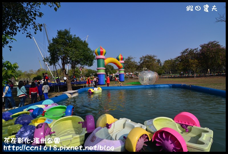 花在彰化-溪州公園DSC_3214 花在彰化-溪州公園DSC_3214