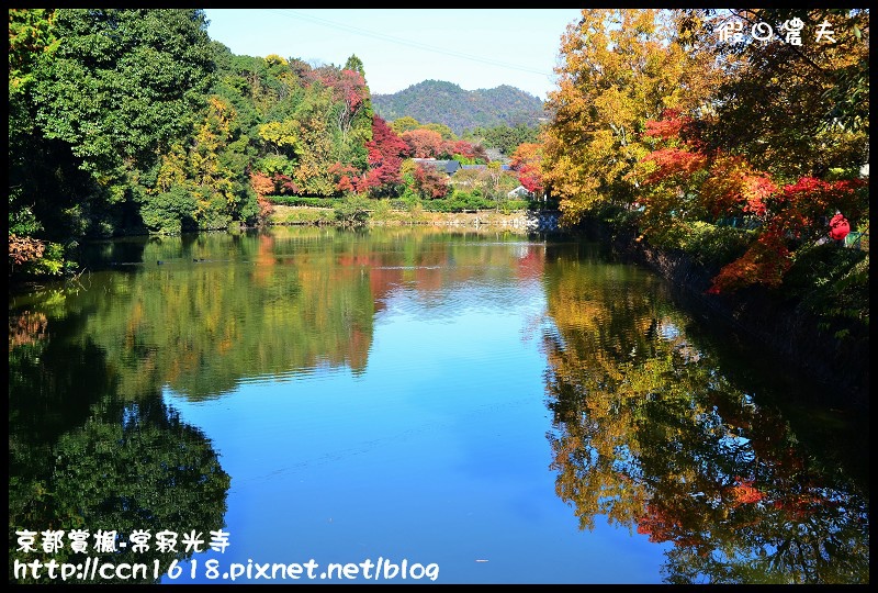 京都賞楓-常寂光寺DSC_4239 京都賞楓-常寂光寺DSC_4239