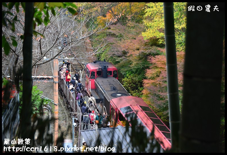 嵐山散策DSC_4484 嵐山散策DSC_4484