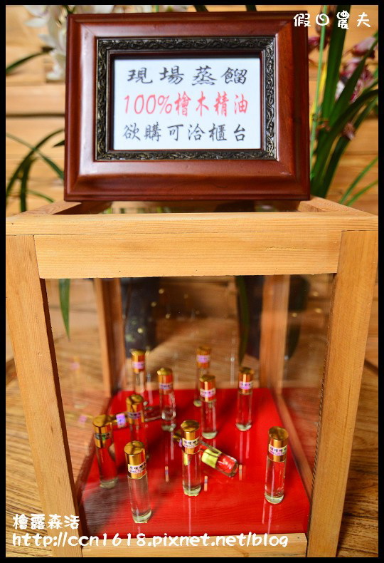 檜露森活DSC_6150