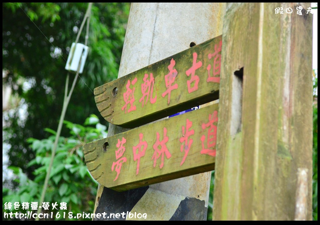 綠色精靈-螢火蟲DSC_2405 綠色精靈-螢火蟲DSC_2405