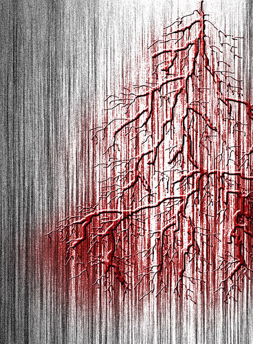 37240_141270162553568_123706_n