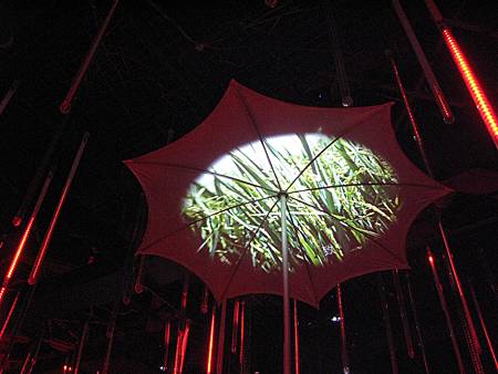 IMG_4297.JPG IMG_4297.JPG