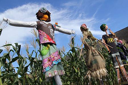 IMG_0977.JPG IMG_0977.JPG