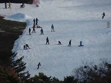 DSCN5231.jpg DSCN5231.jpg