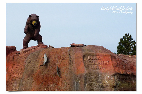 Bear Country-20.jpg Bear Country-20.jpg