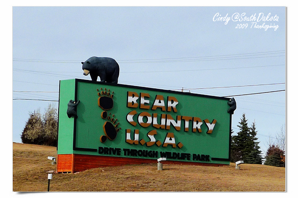 Bear Country-22.jpg Bear Country-22.jpg