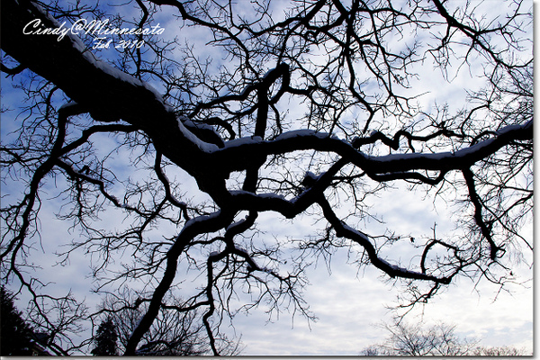 Lake Calhoun-16.jpg