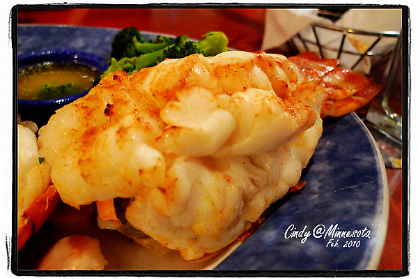 Red Lobster-12.jpg