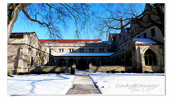 University of Chicago-07.jpg