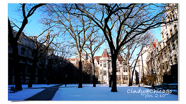 University of Chicago-22.jpg