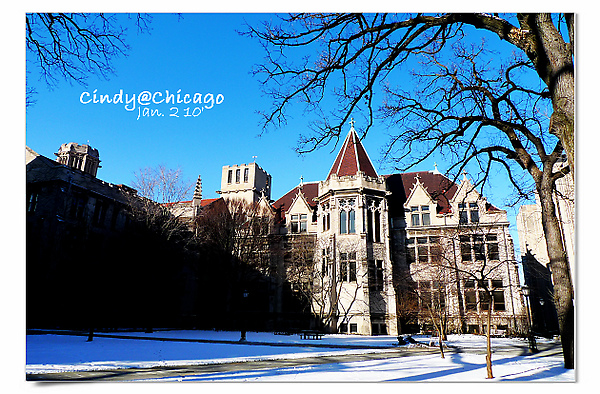 University of Chicago-23.jpg
