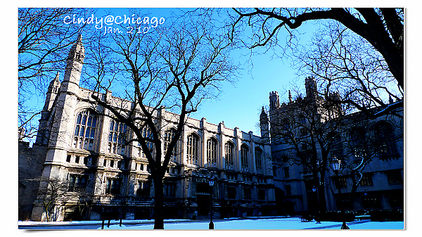 University of Chicago-25.jpg