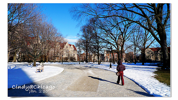 University of Chicago-26.jpg