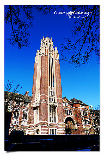 University of Chicago-31.jpg