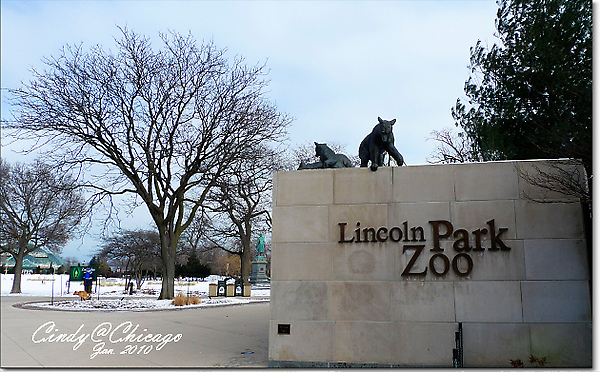 Lincoln Park Zoo-01.jpg