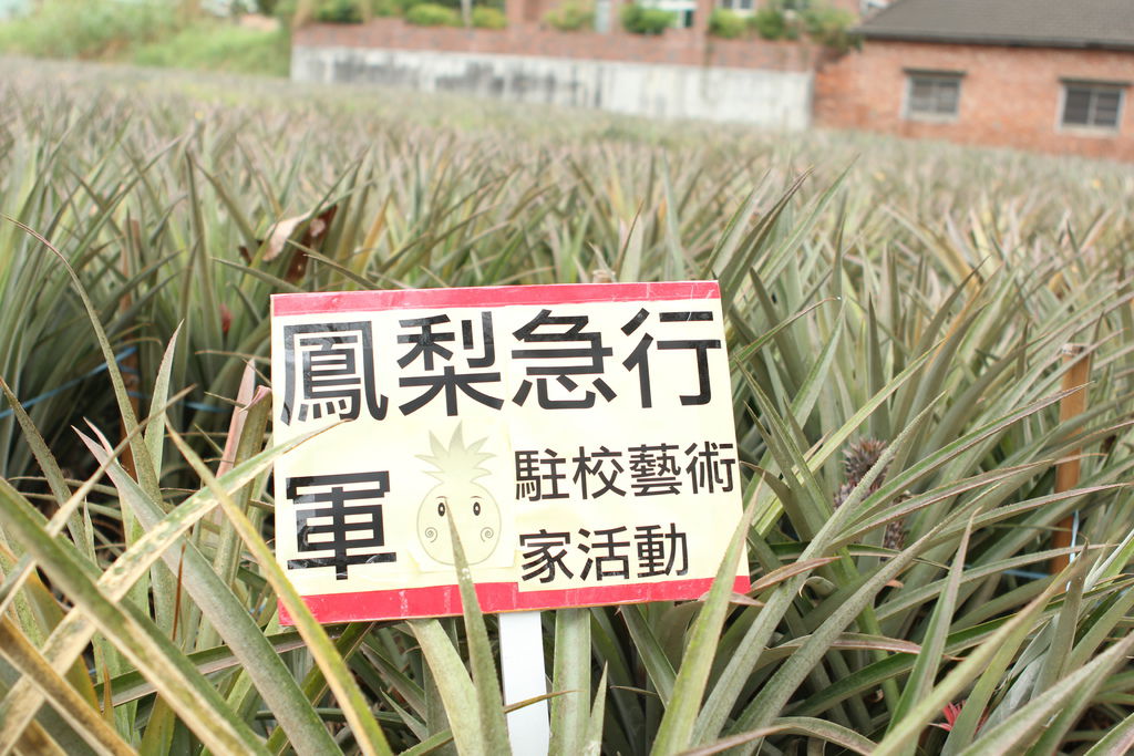 IMG_5525.JPG IMG_5525.JPG