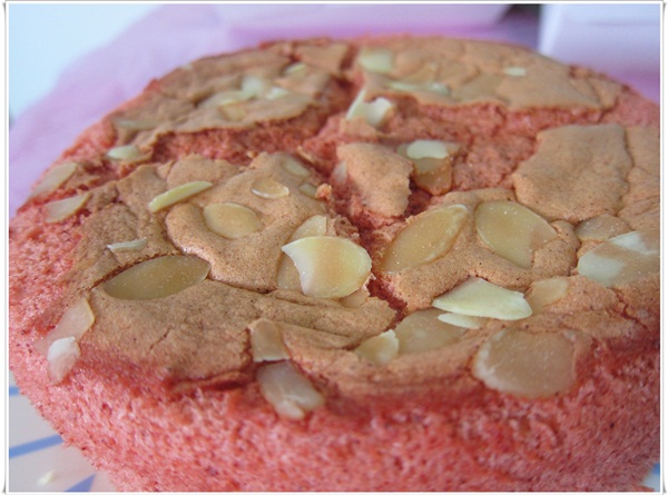 IMG_5559-1.JPG IMG_5559-1.JPG