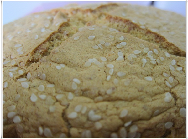 IMG_5536-1.JPG IMG_5536-1.JPG