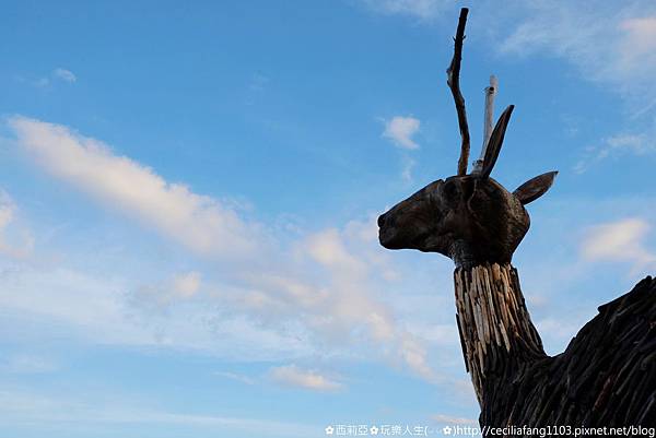 DSCF8638_结果.JPG DSCF8638_结果.JPG