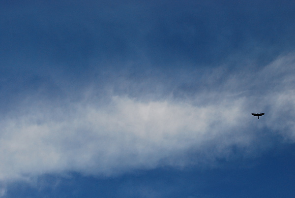 DSC_0053.JPG DSC_0053.JPG