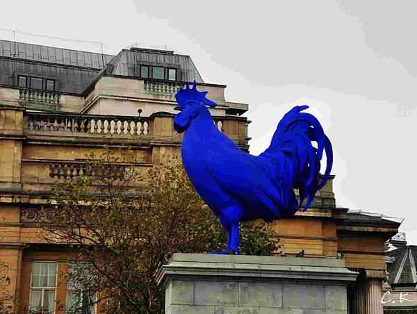 NG1 cock in Trafalgar square