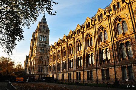 NHM building NHM building