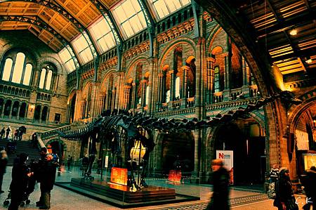 NHM dinosaur1 NHM dinosaur1