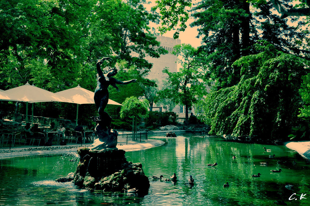 avignon 4.jpg avignon 4.jpg