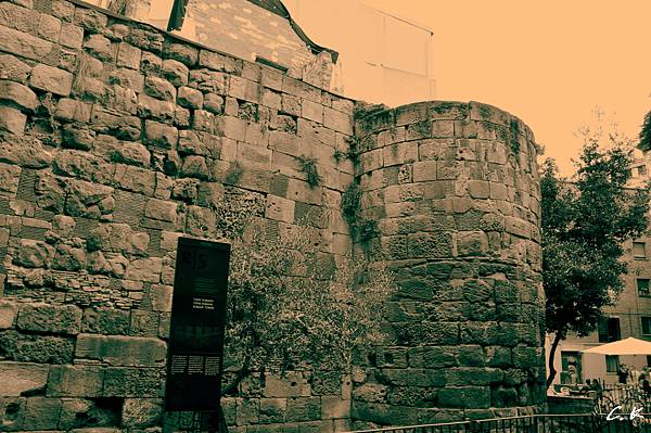 rome wall 1.jpg rome wall 1.jpg