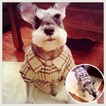 2013-11-19-20-29-57_deco (1)