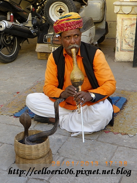 【捷普】城市宮殿