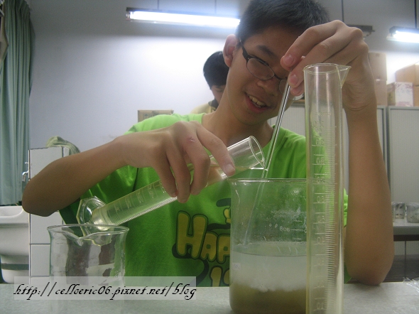 科展實驗 科展實驗