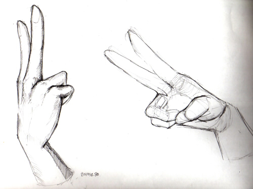 20101230.jpg