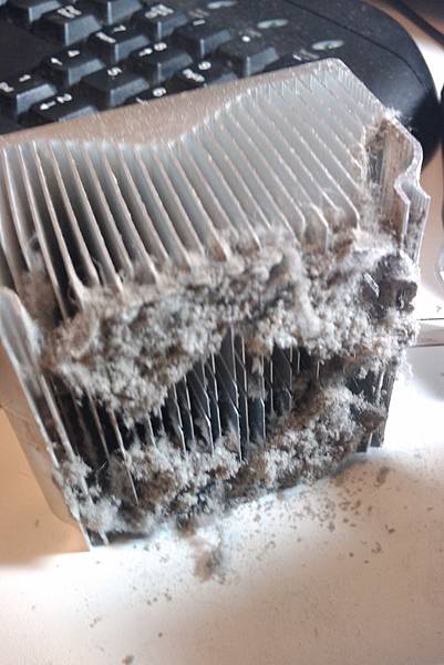 IMAG0464.jpg IMAG0464.jpg