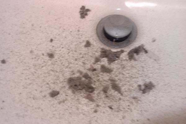 IMAG0466.jpg IMAG0466.jpg