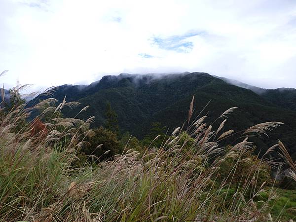 CIMG6492.JPG CIMG6492.JPG