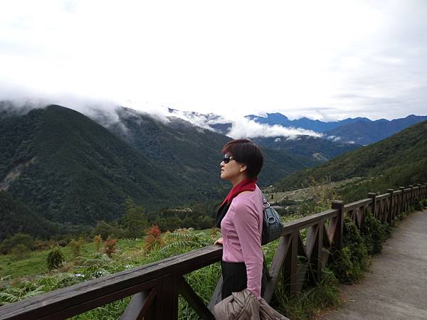 CIMG6499.JPG CIMG6499.JPG