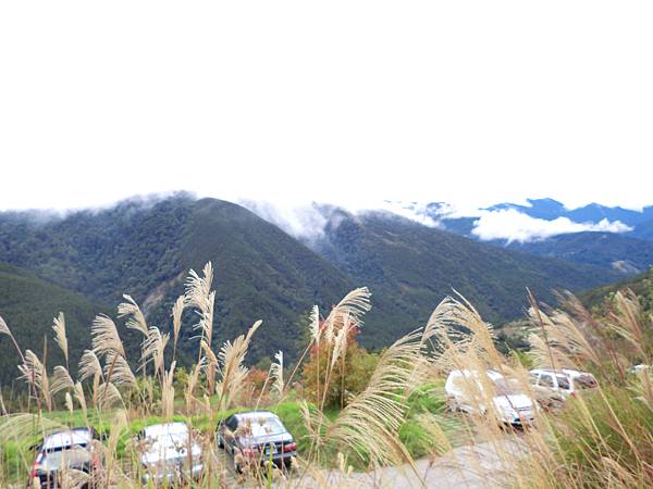 CIMG6500.JPG CIMG6500.JPG