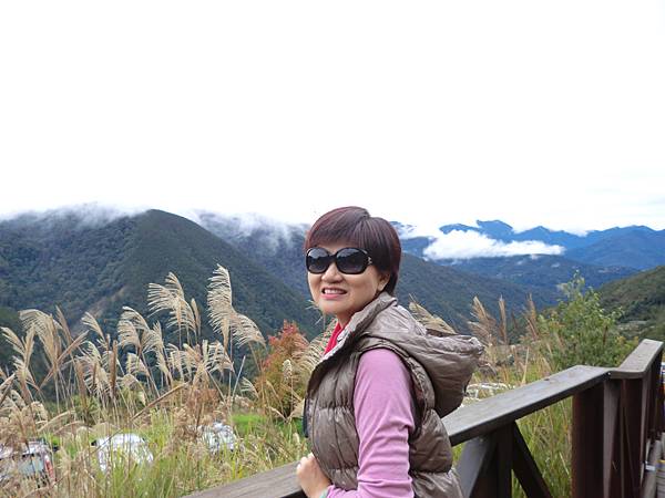 CIMG6501.JPG CIMG6501.JPG