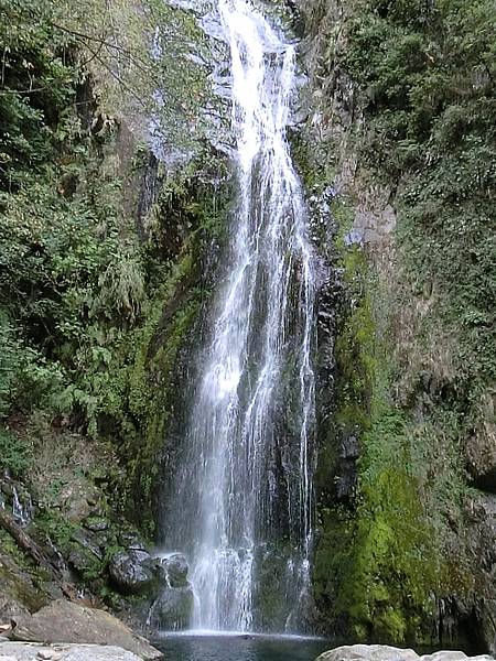 CIMG6592.JPG CIMG6592.JPG