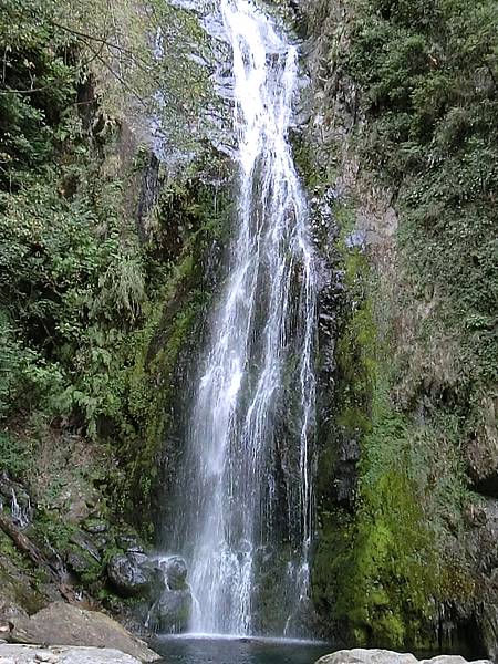 CIMG6594.JPG CIMG6594.JPG