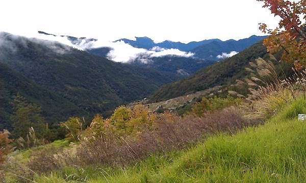 IMAG0102.jpg IMAG0102.jpg