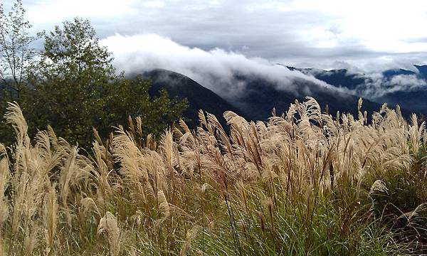 IMAG0114.jpg IMAG0114.jpg