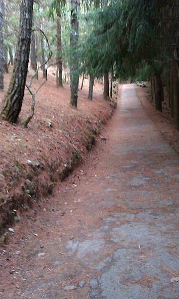 IMAG0118.jpg IMAG0118.jpg