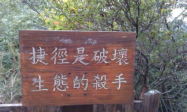 IMAG0129.jpg IMAG0129.jpg